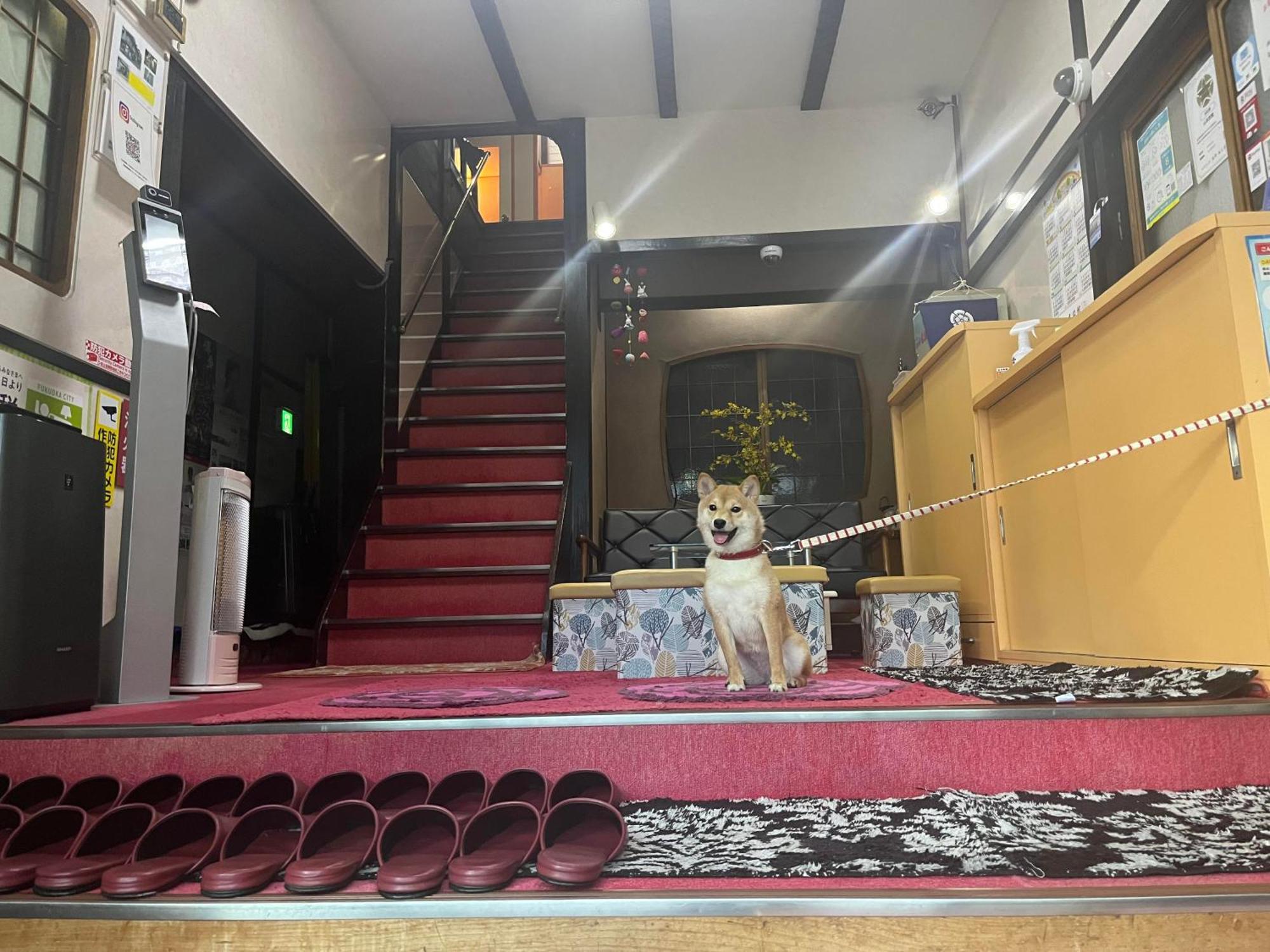 Yamamoto Ryokan Fukuoka  Exteriér fotografie